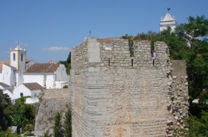 castillo-tavira1