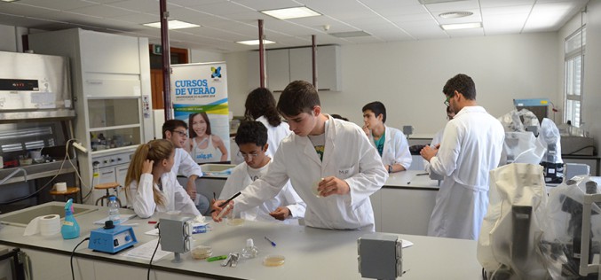 La Universidad del Algarve acoge una treintena de cursos de verano