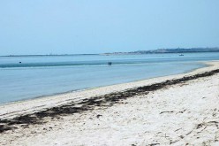 Isla da Armona, una playa paradisíaca frente a Olhão