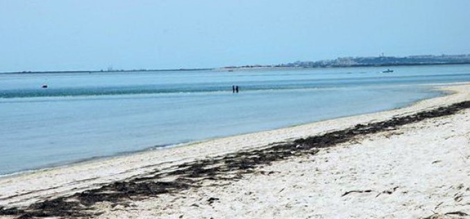 Isla da Armona, una playa paradisíaca frente a Olhão
