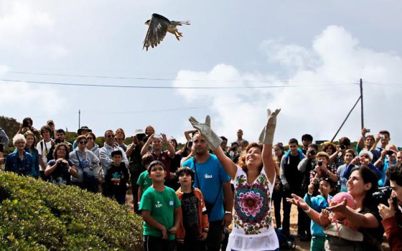Festival de las Aves y la Naturaleza 2015, un evento único con más de 200 actividades