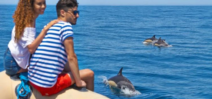 Buceo, surf, senderismo y paseos en barco, en la Algarve Nature Week