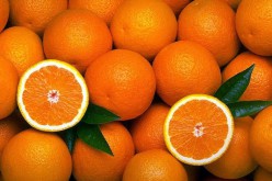 Silves da nombre a una nueva marca de naranja