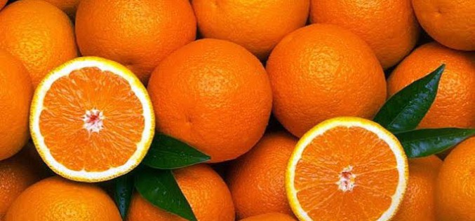 Silves tendrá de nuevo sabor a naranja