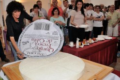 El mayor queso de cabra del Algarve