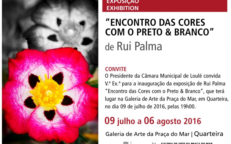 Exposición de Rui de Palma en Quarteira