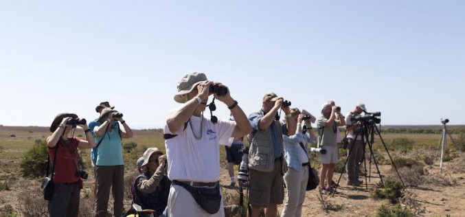 El Festival de Observación de Aves lleva a Sagres unas 300 actividades