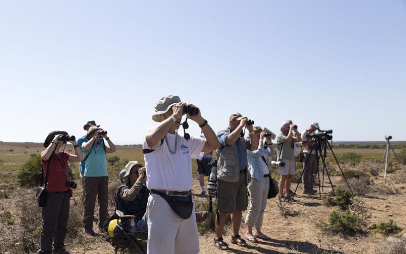 El Festival de Observación de Aves lleva a Sagres unas 300 actividades