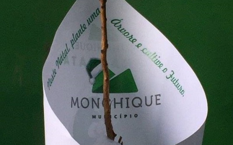 Una Navidad más verde, en Monchique