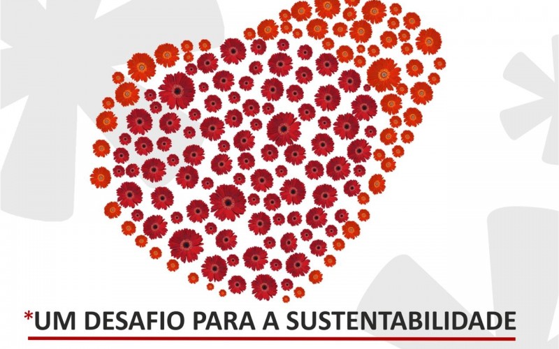 Faro se viste de flores para embellecer Portugal