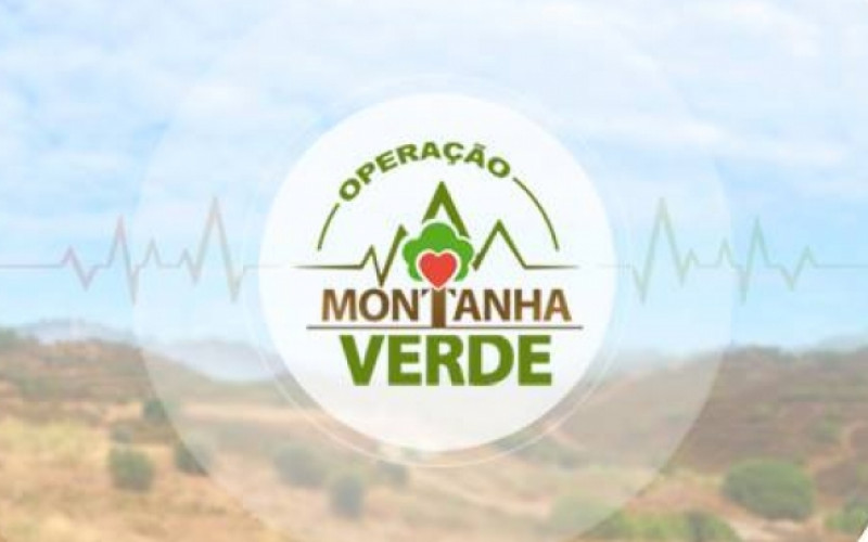 Loulé plantará 5.000 árboles en la ‘Operación Montaña Verde’