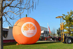 La naranja volverá a ser protagonista en Silves