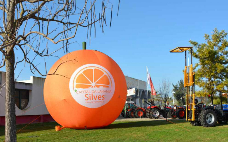 Silves se prepara para la segunda Muestra Silves Capital de la Naranja