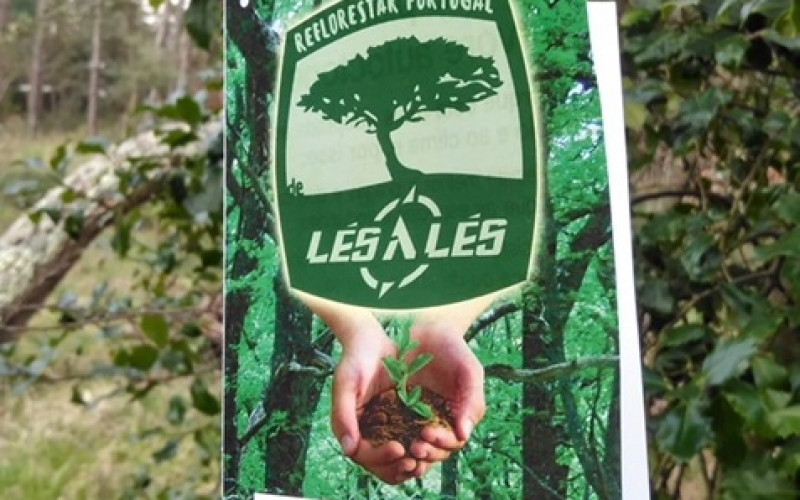 Silves se une a la campaña para reforestar Portugal