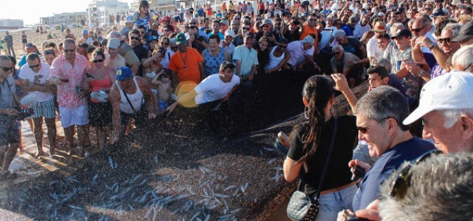 Quarteira sigue la tradición y celebra su Día del Pescador