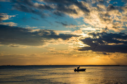 Olhão premia las mejores fotografías sobre el mundo de la pesca
