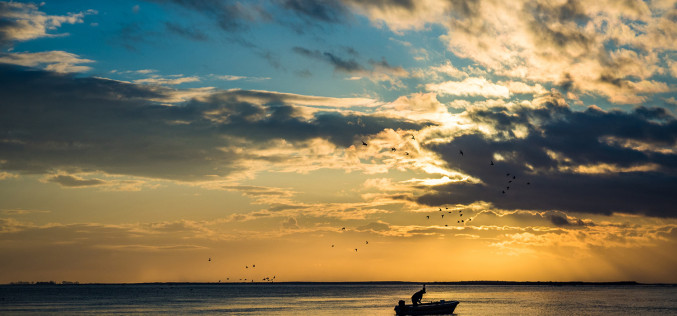 Olhão premia las mejores fotografías sobre el mundo de la pesca