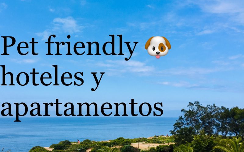 Viaja con tu mascota. Pet friendly hoteles y apartamentos en el Algarve