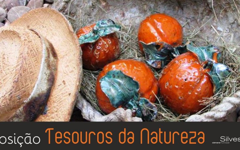 Castelo de Silves acolhe exposição “Tesouros da Natureza”