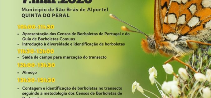 São Brás de Alportel recibe formación sobre censos de mariposas en Portugal