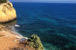 Algarve destino de gran riqueza natural y cultural