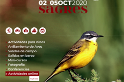 El Festival de Observación de Aves y Actividades en la Naturaleza está de regreso en Sagres