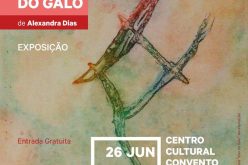 Lagoa inaugura la Exposición «Explicaciones sobre el juego del gallo»