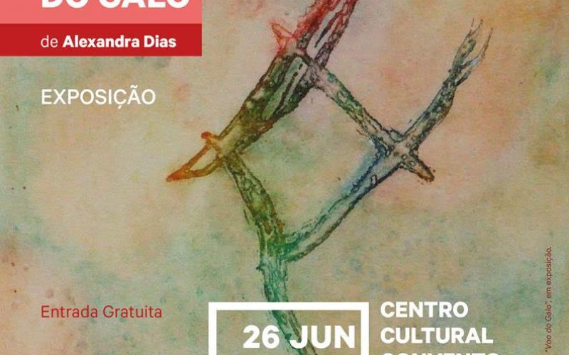 Lagoa apresenta ao público a Exposição “Explicações sobre o Jogo do Galo”, de Alexandra Dias.
