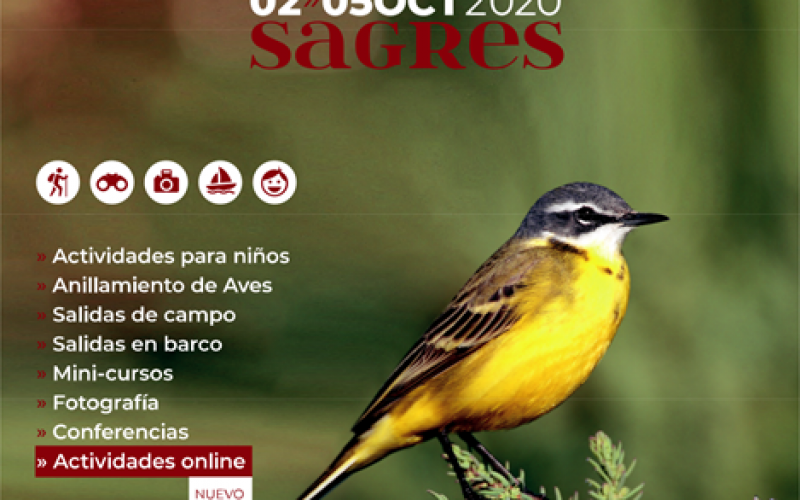 El Festival de Observación de Aves y Actividades en la Naturaleza está de regreso en Sagres