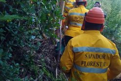 Alcoutim apoia o desenvolvimento de ações de proteção e prevenção de fogos florestais