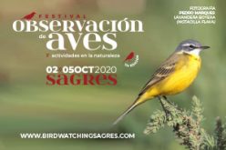 Sagres prepara el Festival de Actividades de Observación de Aves y Naturaleza