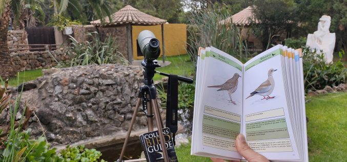 Zoológico de Lagos invita a participar en el curso de Observación de Aves
