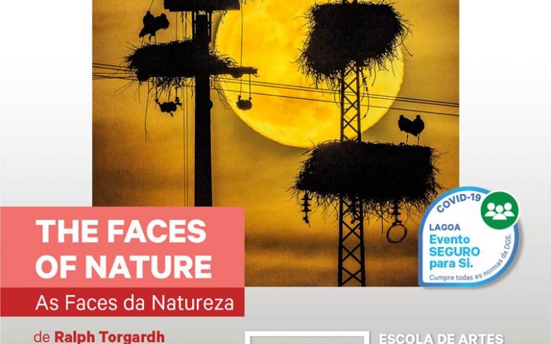 Lagoa presenta la exposición “Los rostros de la naturaleza”