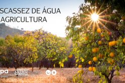 Silves promovió el debate sobre la escasez de agua en la agricultura