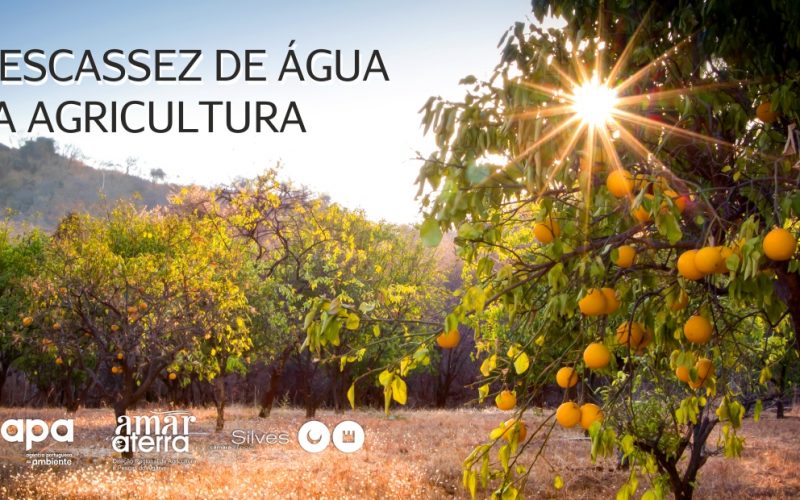 Silves promovió el debate sobre la escasez de agua en la agricultura