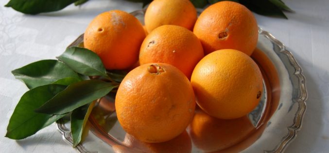 Continente adquiere 14,5 millones de toneladas de naranja del Algarve