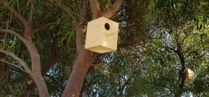 Vila do Bispo construye alojamiento local para aves