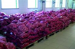 Profesionales del CHUA reciben 10 toneladas de boniato del Ayuntamiento de Aljezur