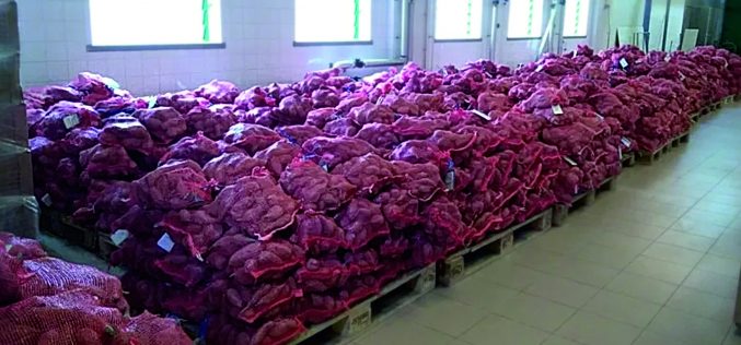 Profesionales del CHUA reciben 10 toneladas de boniato del Ayuntamiento de Aljezur