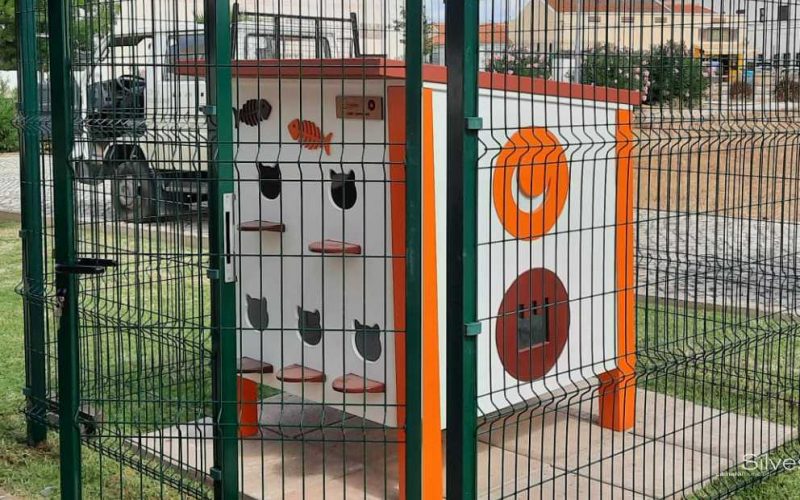 Silves coloca el primer equipo para felinos en Algoz