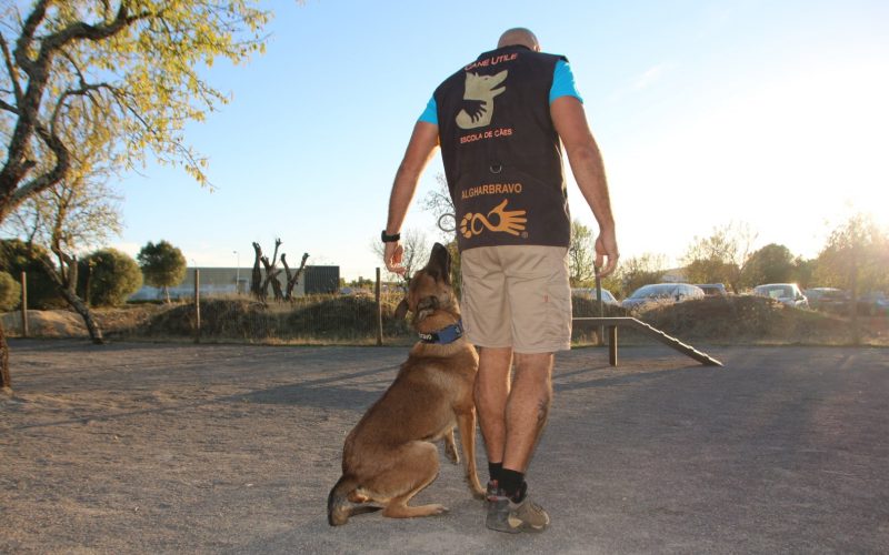 São Brás de Alportel inaugura un parque canino para celebrar el día nacional de los animales