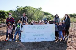 Verdelago celebró el Día del Bosque Indígena