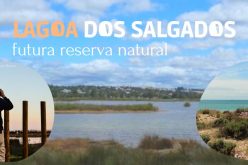 Silves y Almarcem promueve jornada abierta sobre Lagoa dos salgados – futura reserva natural