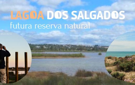 Silves y Almarcem promueve jornada abierta sobre Lagoa dos salgados – futura reserva natural