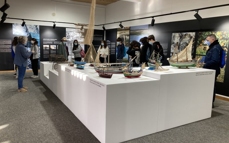 La exposición sobre la Ria Formosa tiene como promotor turismo del Algarve