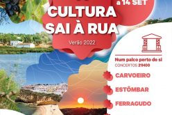Lagoa celebra el Festival Cultural “La Cultura sale a la calle”