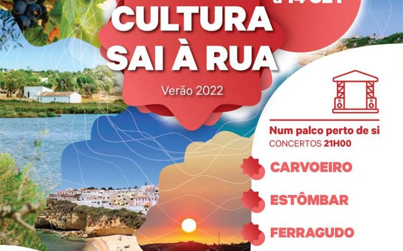 Lagoa celebra el Festival Cultural “La Cultura sale a la calle”